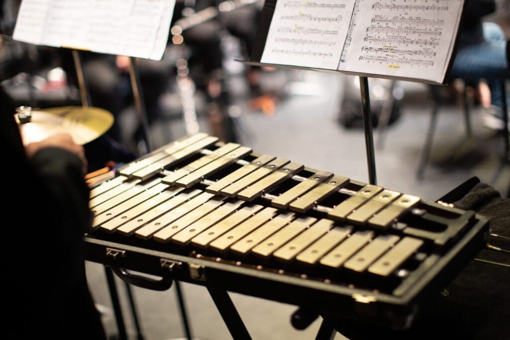 A Person Playing on a Xylophone